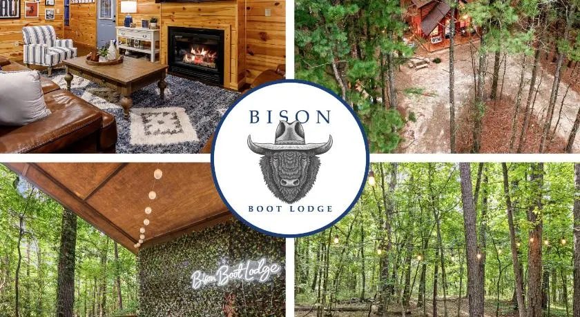 Luxury Cabin Near Lake - Sauna, Cold Plunge, Hot Tub, Fire Pit, & Games - Image 1