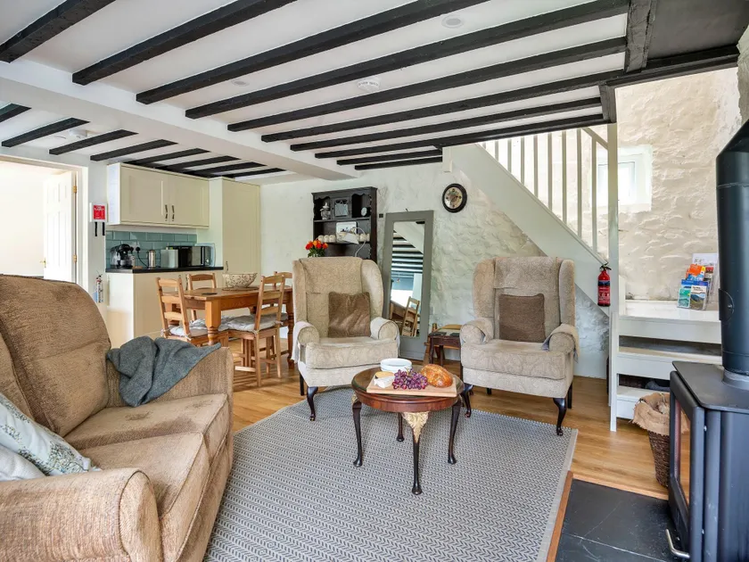 Cottage in Nannau Estate near Coed Y Brenin - Image 1