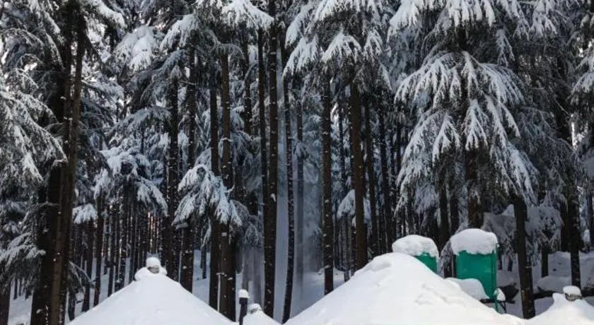 The Glamping Spot Kalam - Image 1