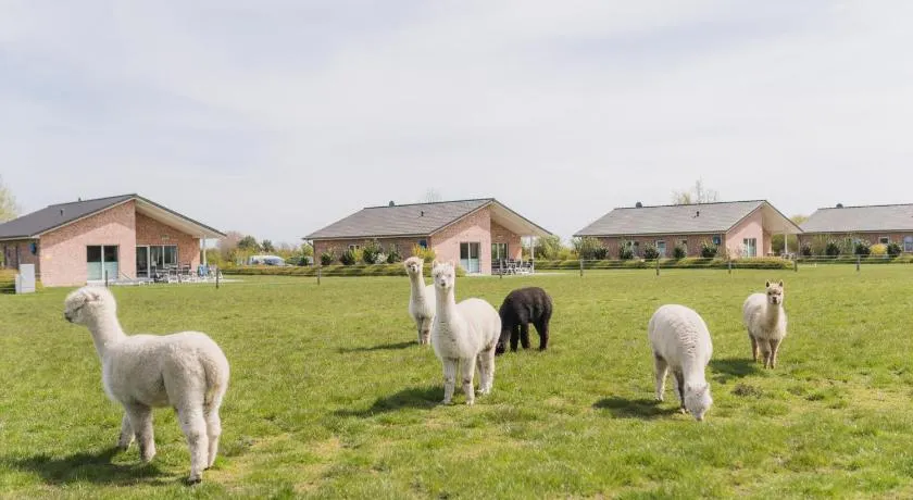 Büdlfarm - Der Familien-Erlebnishof in Strandnähe - Image 1