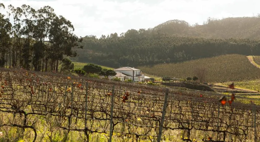 Quinta da Murnalha - Image 1