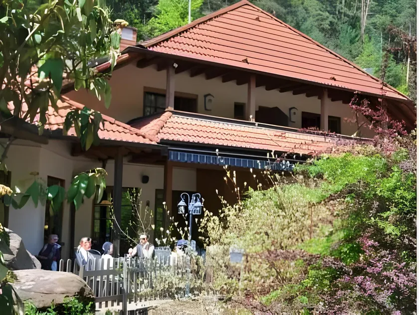 Landgasthof Am Teufelstisch - Image 1