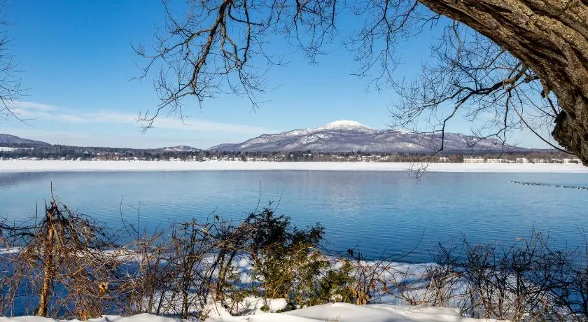 Au p'tit cocon sur le lac - Image 1