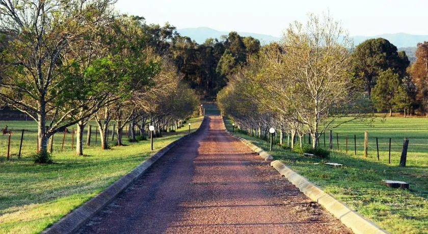 Blueberry Hill Vineyard Stay - Image 1