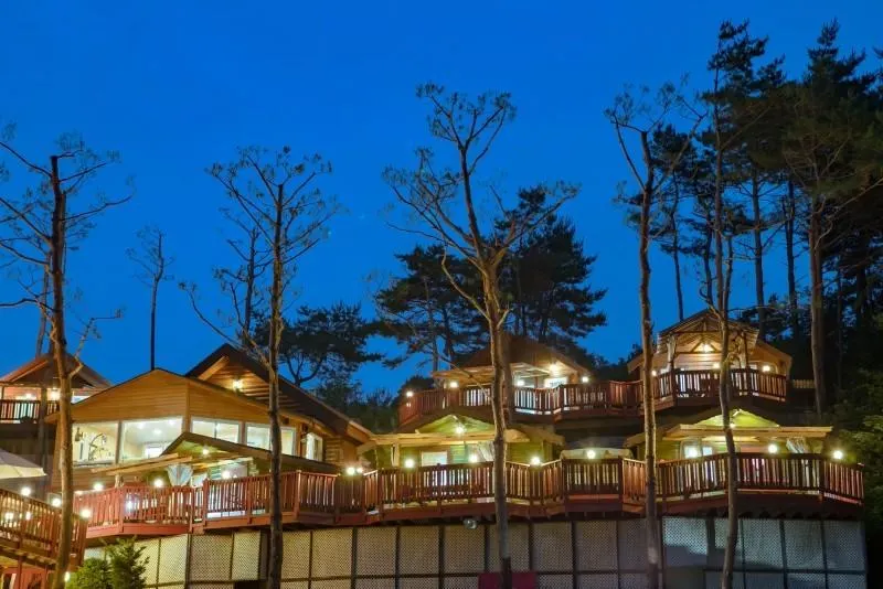 Hoengseong Fairy Tale Hut Pension - Image 1