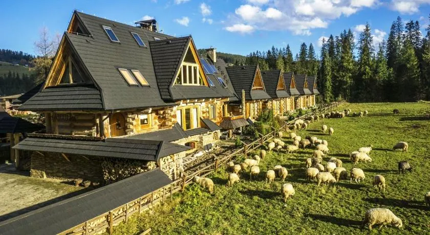 Tajgołka - Image 1