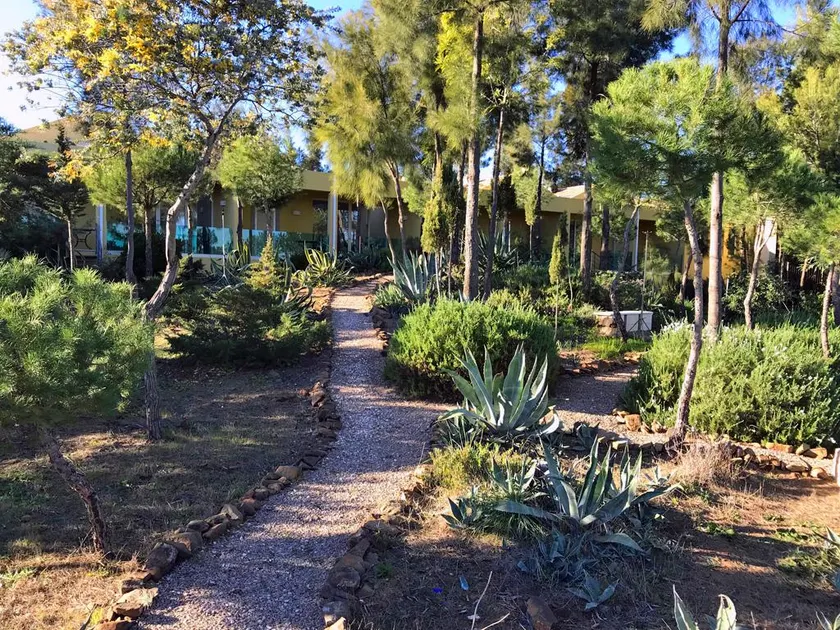 Quinta das Eirinhas-Jardim de Bonsai - Image 1