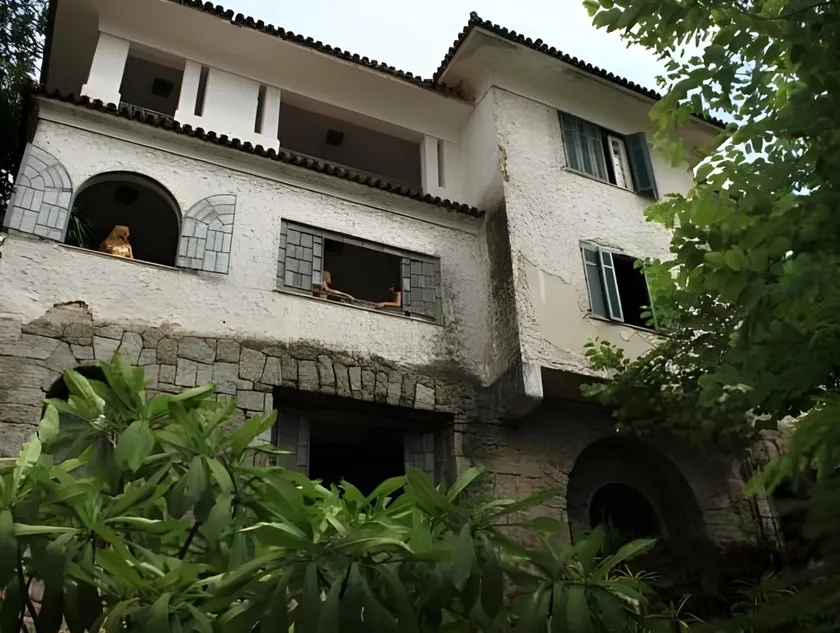 Pura Vida Hostel - Image 1