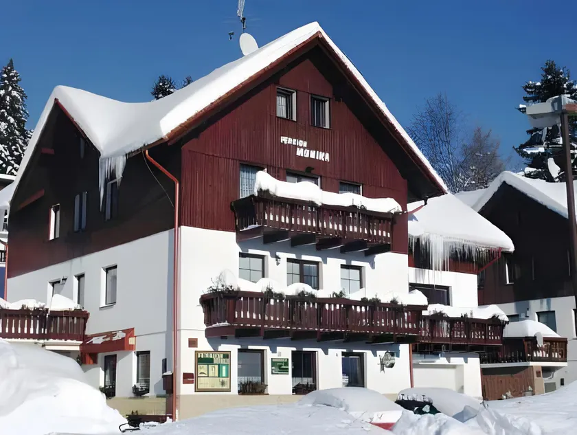 Pension and Apartments MONIKA - Image 1