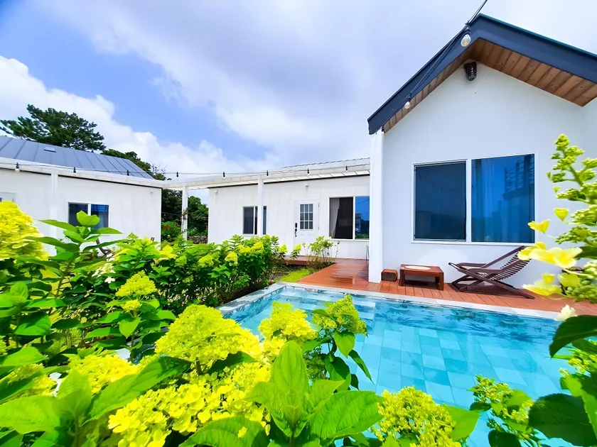 Jeju Dalrowa - Image 1