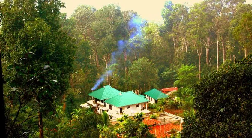 Green Shades - Image 1