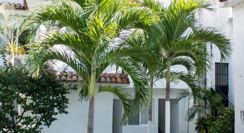 Villa Lupita - Image 1