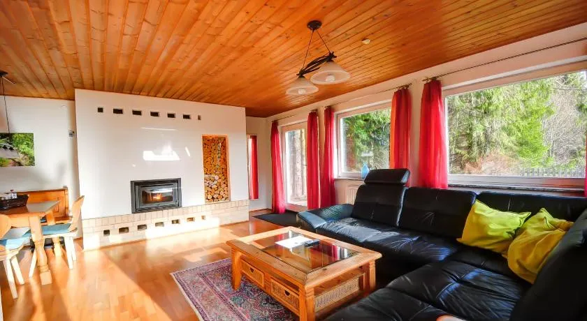 Ferienhaus am Feldberg - Image 1