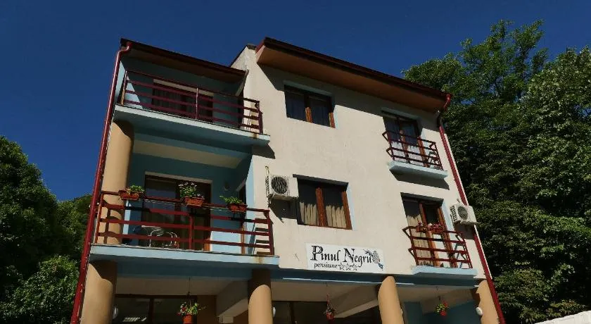 Pensiunea Pinul Negru - Image 1