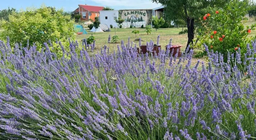 CAMPING LASTE - Image 1
