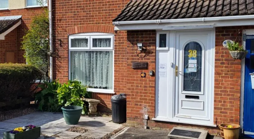 Mudeford Swans - Image 1