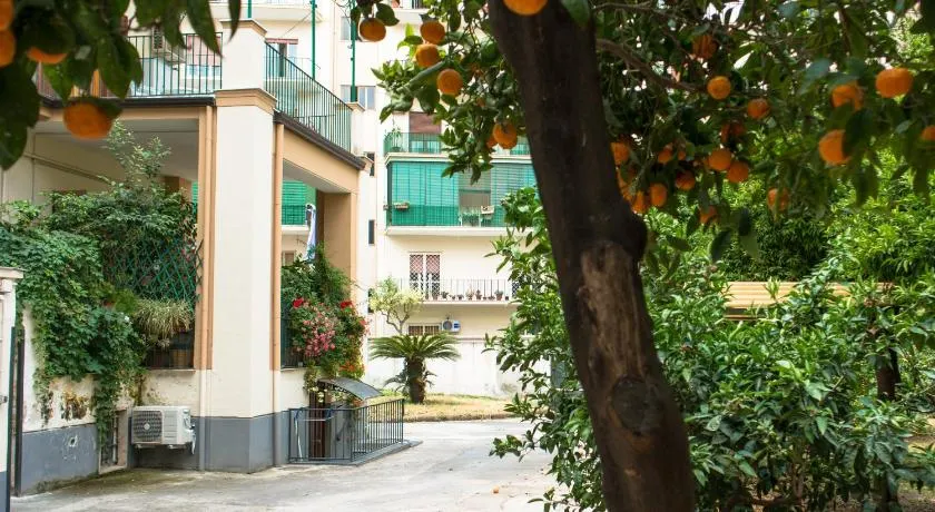 B&B Il Nido - Image 1
