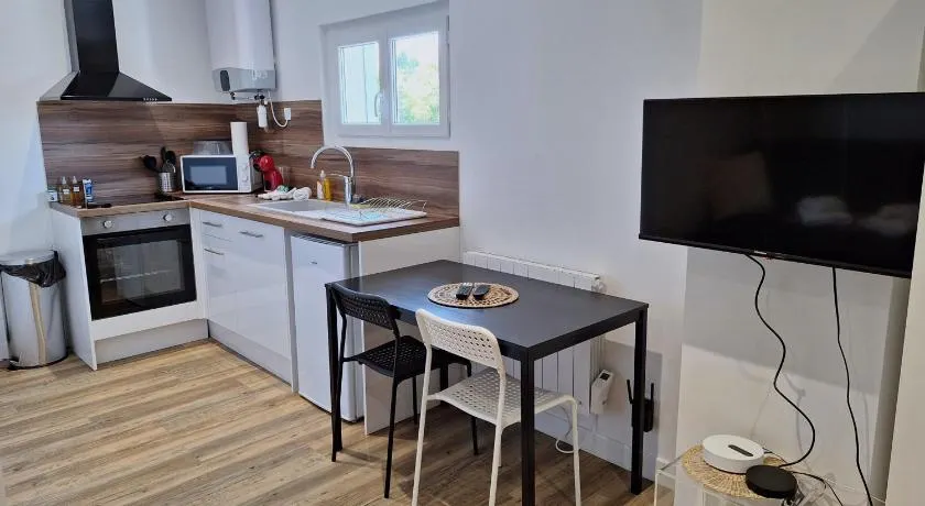 Studio lumineux 2 pers Olivet Avenue Loiret - Image 1