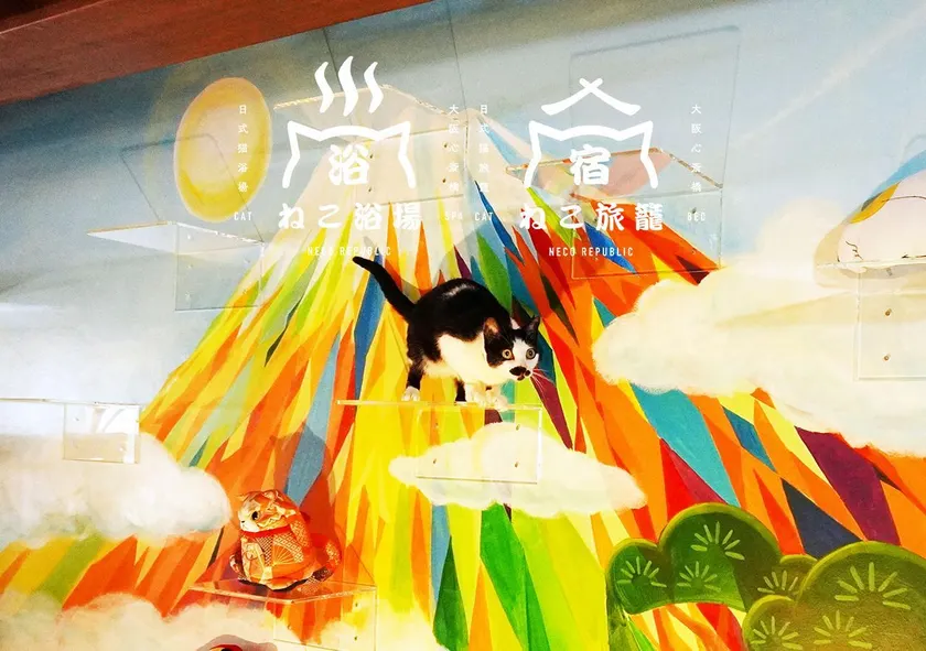 Cat Spa & Cat Ryokan by Neco Republic Osaka - Image 1