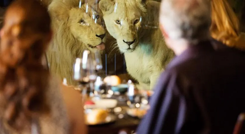 Jamala Wildlife Lodge - Image 1