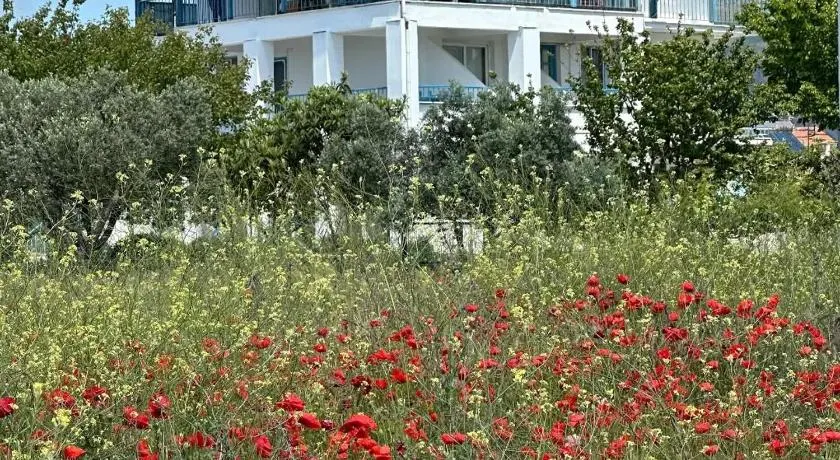 Akmonya Pansiyon - Image 1