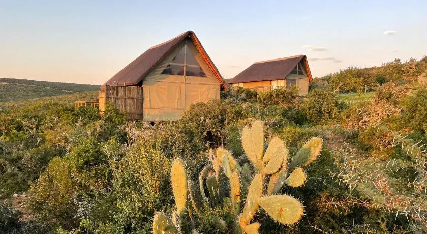 Harmony Luxury Tents & Safari - Image 1