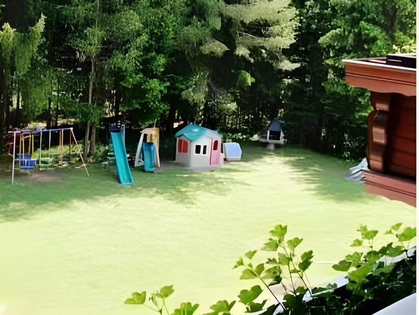 Pension Waldruh - Tannenheim - Image 1