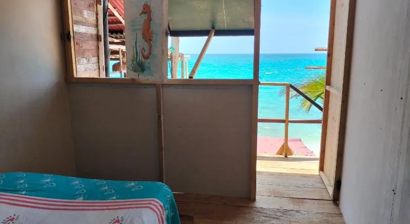 Playa Tortuga Carey - Image 1