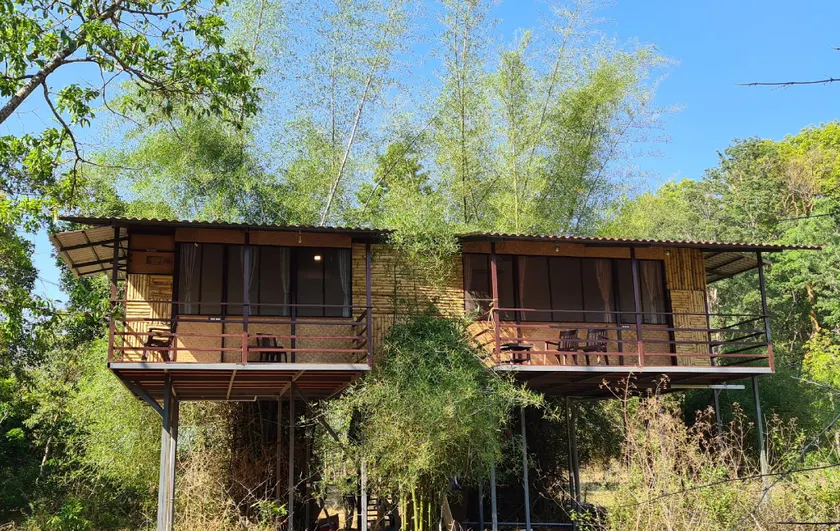 Deep Jungle Home - Image 1