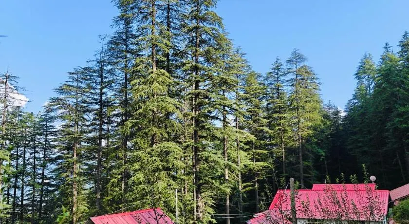 Mistymountaincottage - Image 1