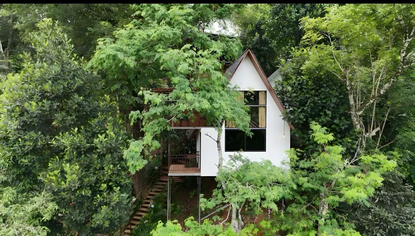 Wild Stories Resort, Munnar - Image 1