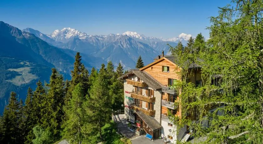 Hotel Waldhaus - Image 1
