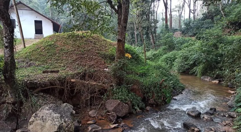 Creek Side - Image 1
