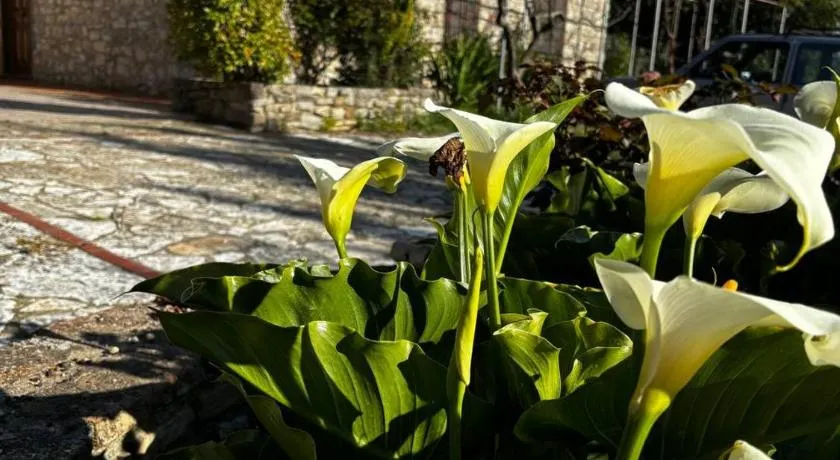 Agriturismo Santa Venera - Image 1