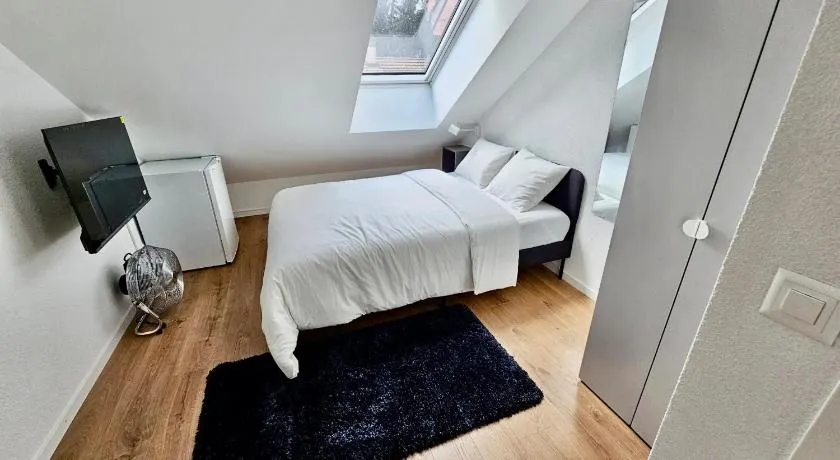 Private & Shared Stays in Lausanne - Image 1