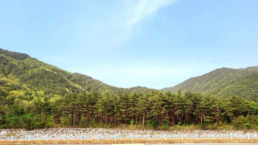 Pineview Hotel, Sokcho, Seoraksan - Image 1