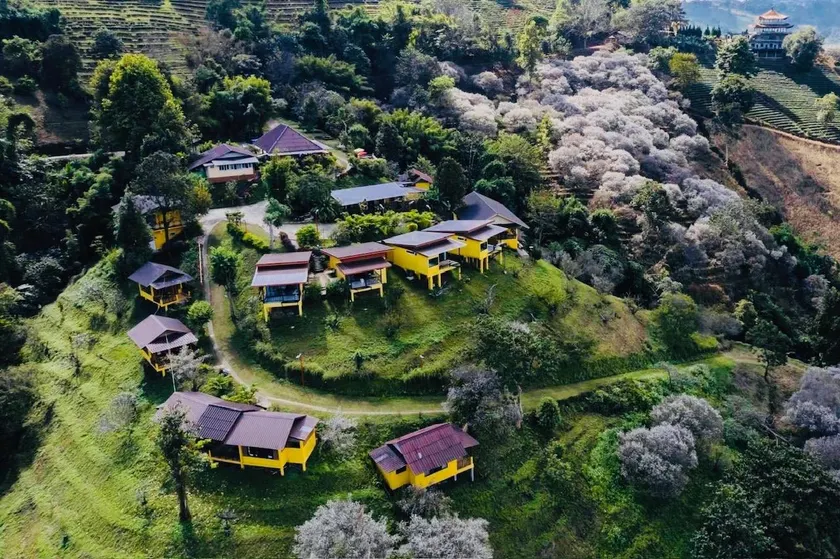 Maesalong Mountain Home Resort - Image 1