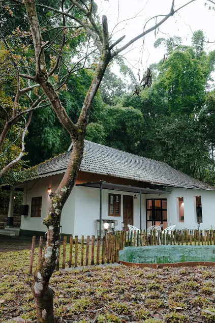 Linora Serenity | 3BHK Villa near Tea Estates,WIMS - Image 1