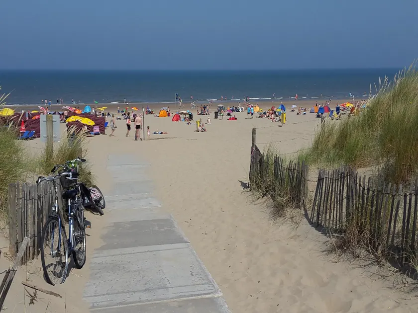 Holiday Near Beach on the Dutch Coast - Image 1