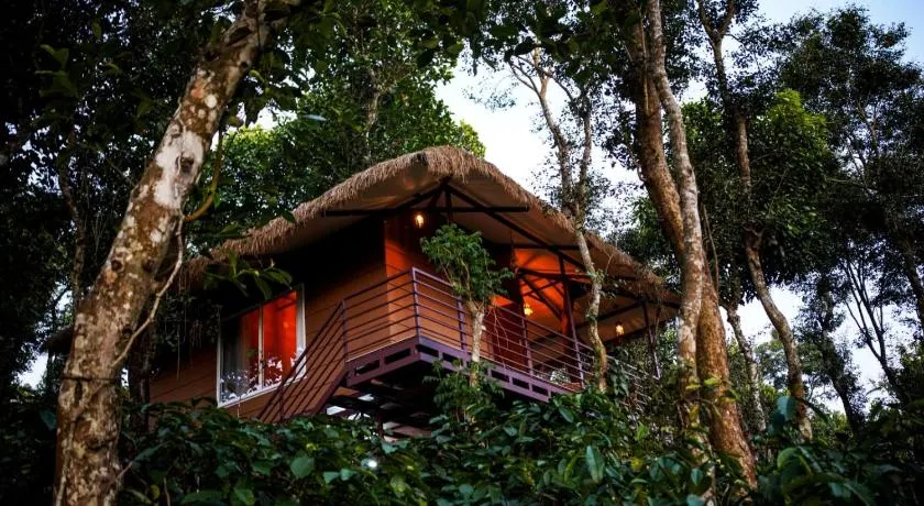 Coffee Cradle Wayanad Luxuorios Private Tree House - Inside 2 Acre Coffee Plantation - Image 1