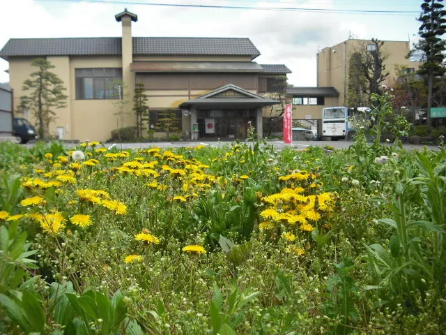 Saku Hotel - Image 1