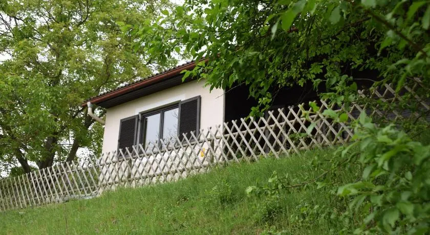 Ferienhaus Jagafranzl - Image 1