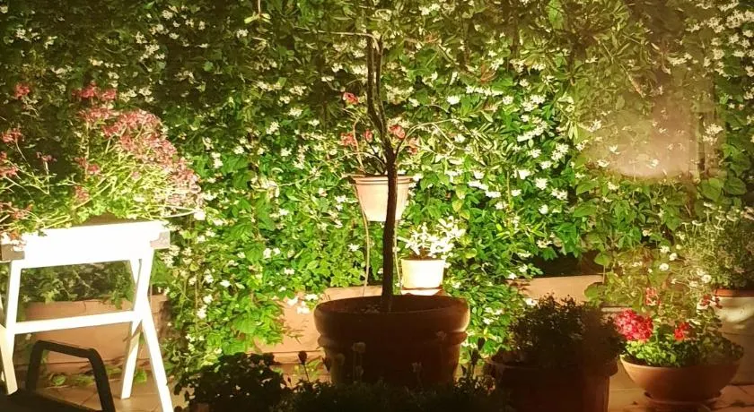 B&B Michelangelo - Image 1