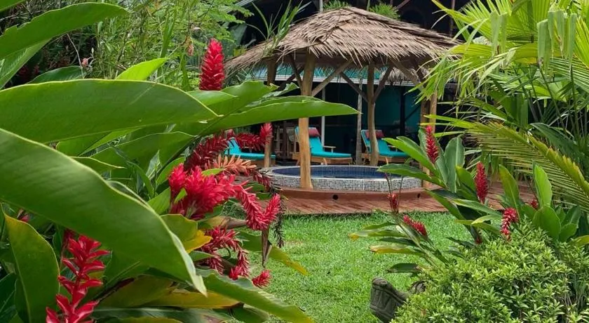 Casa Mambo - Image 1