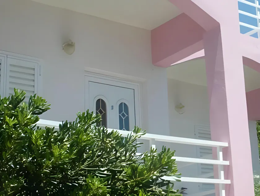 Camelia - Image 1