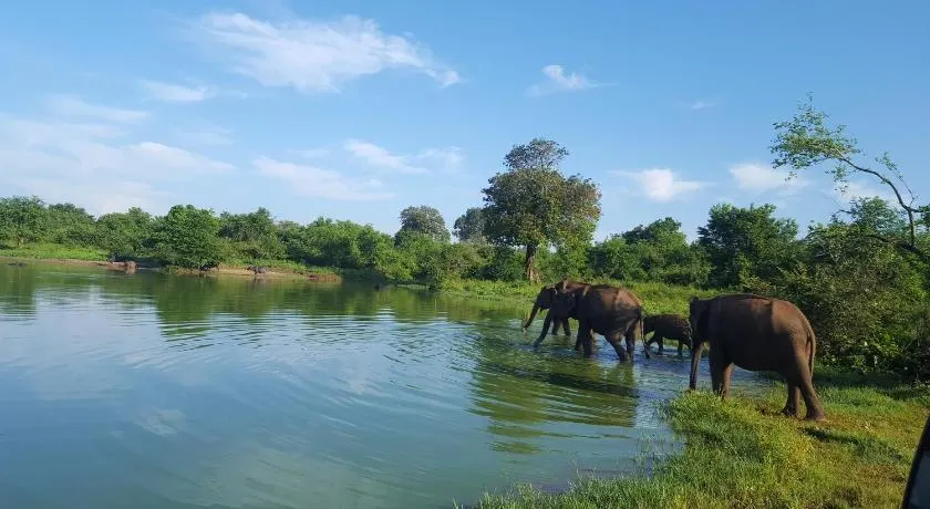 Kuma Safari Lodge - Image 1