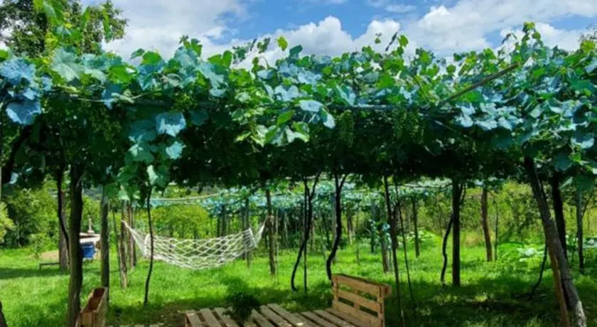 Guesthouse Turo - Image 1