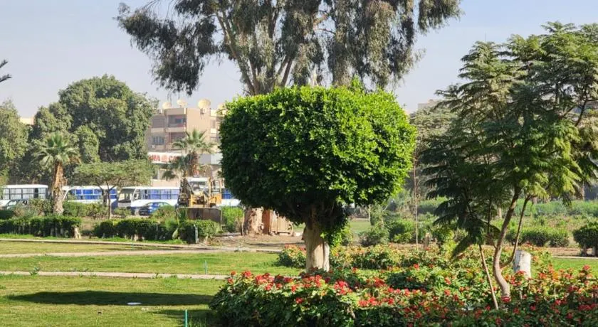 Maadi Oasis - Image 1