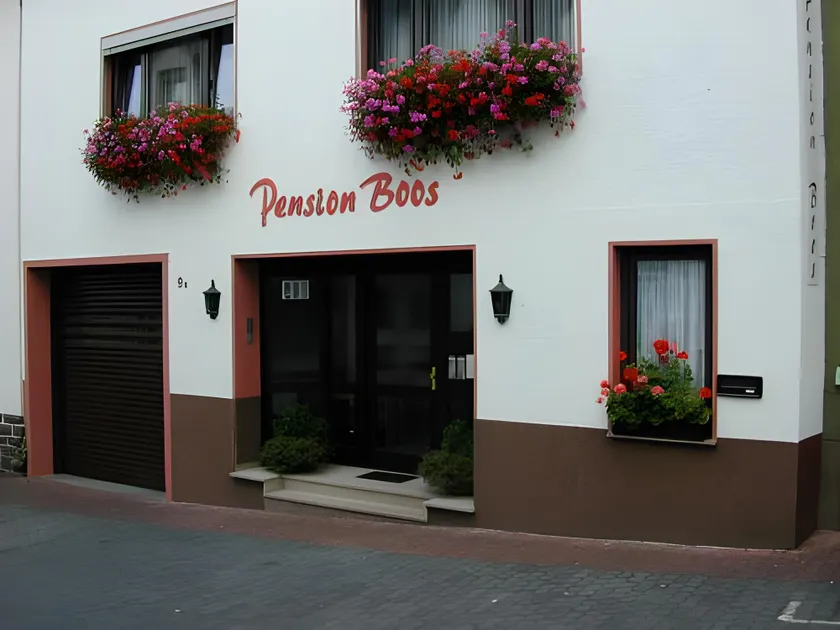 Mittelrhein Pension - Image 1