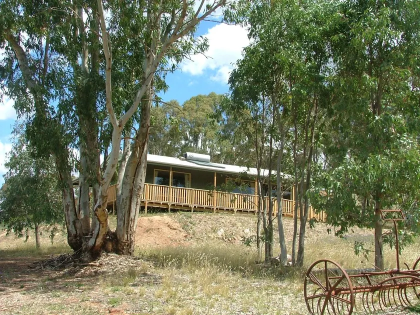 Taralee Orchards - Image 1